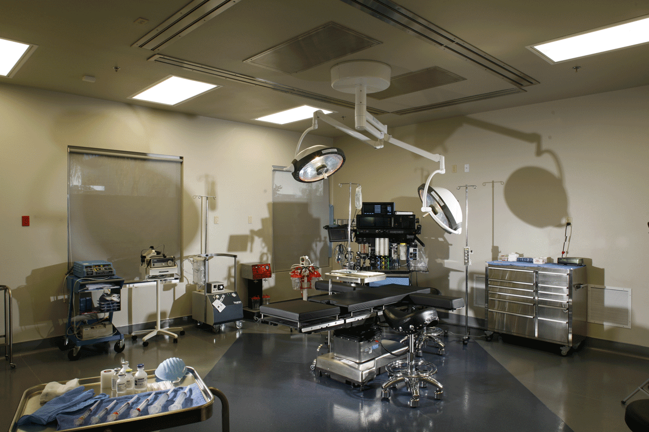 las vegas plastic surgery