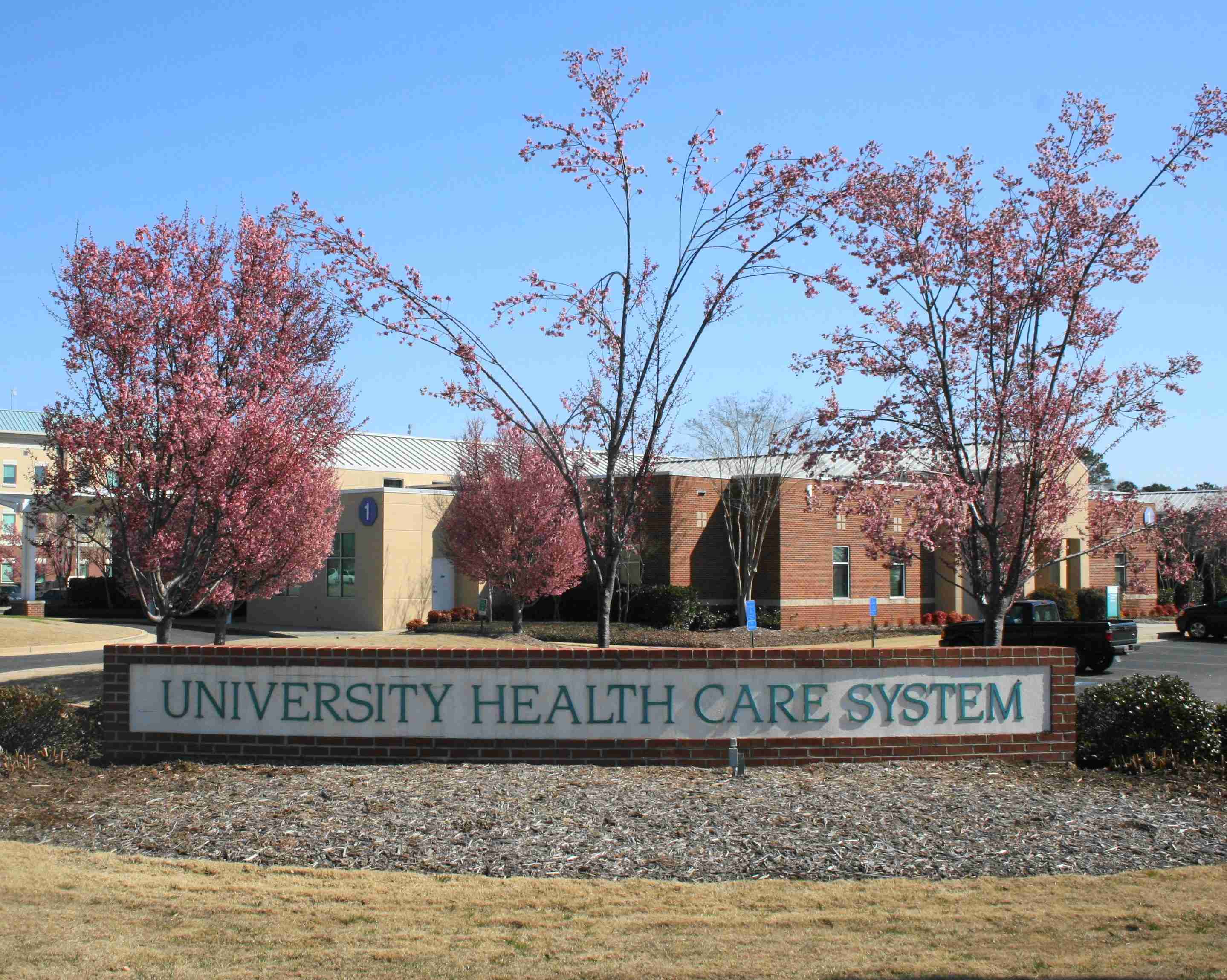 Vein Treatment Center in Augusta
