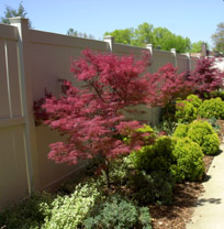Enjoy our garden!