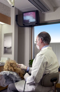 Patients are able to see what Dr. Martin sees through the use of the intra-oral camera. 