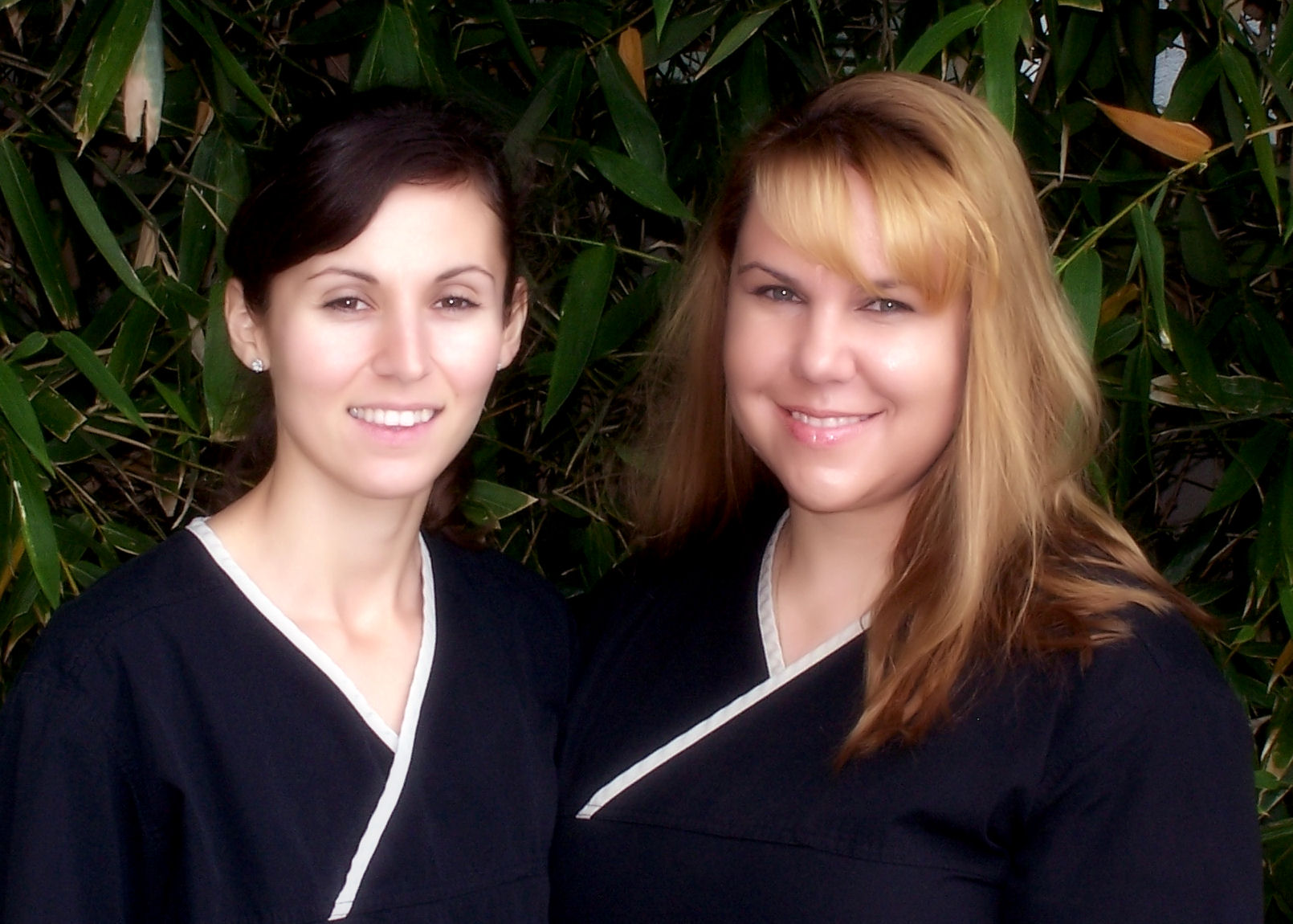 area dentists