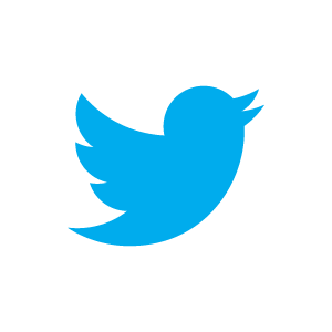 Twitter icon
