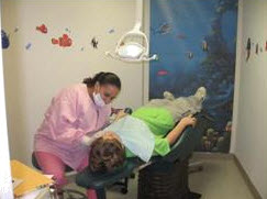 Dental Exam