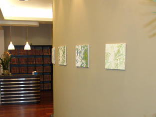 San Diego's Fine Dentistry has an organic architecture to carry on the natural flow of the practice.