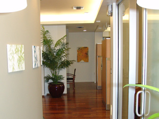 Fine Dentistry's interior resembles a spanish courtyard with the center point being our consultation room.